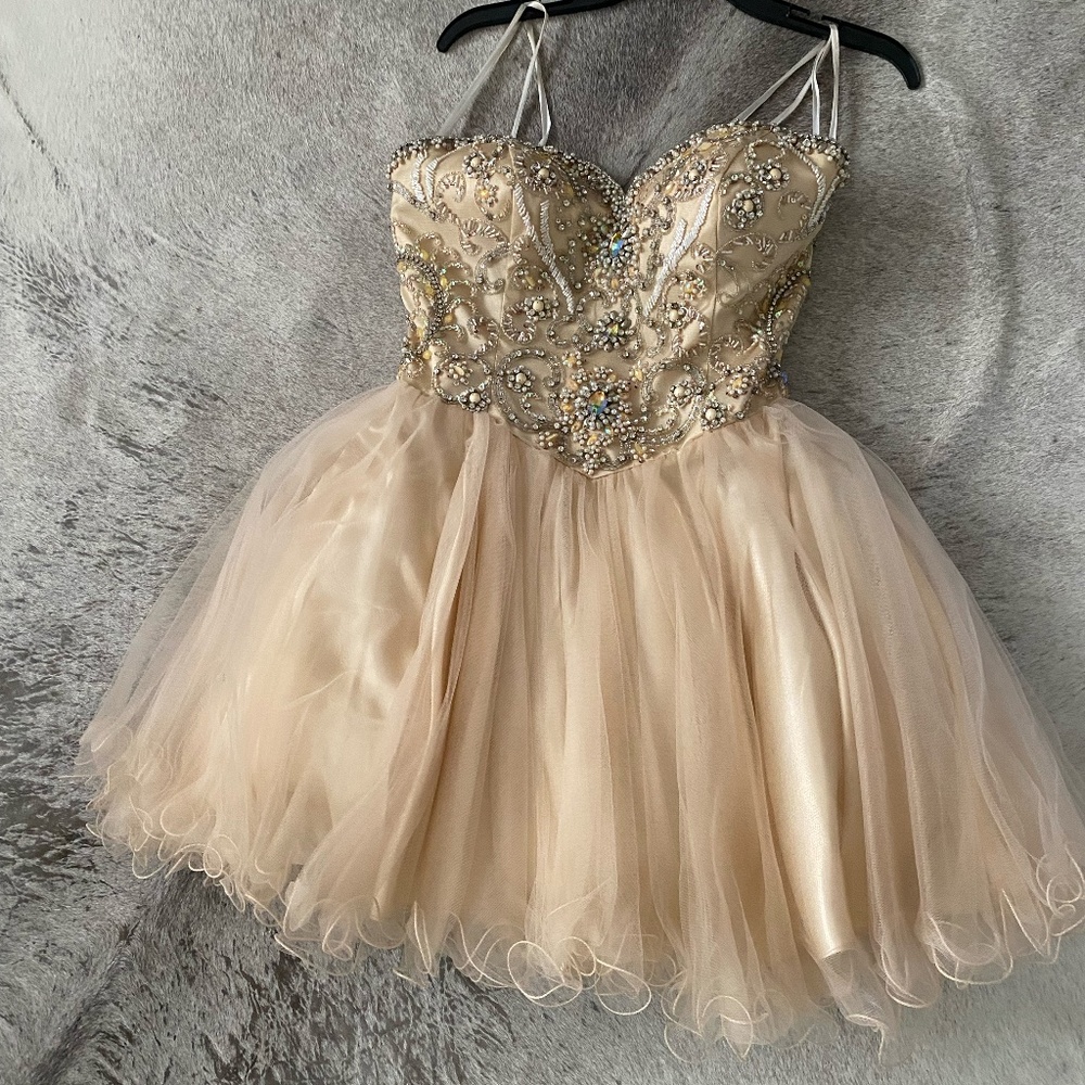 terani couture dress